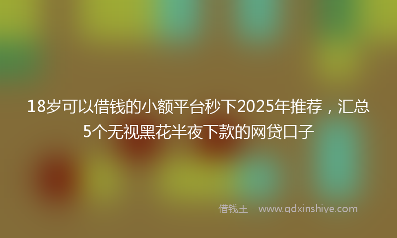 18岁可以借钱的小额平台秒下2025年推荐，汇总5个无视黑花半夜下款的网贷口子