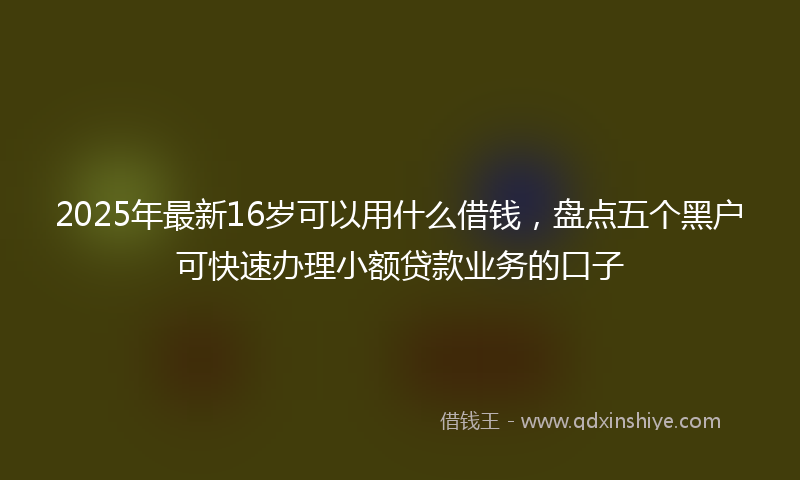 2025年最新16岁可以用什么借钱，盘点五个黑户可快速办理小额贷款业务的口子