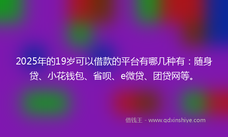 2025年的19岁可以借款的平台有哪几种有：随身贷、小花钱包、省呗、e微贷、团贷网等。