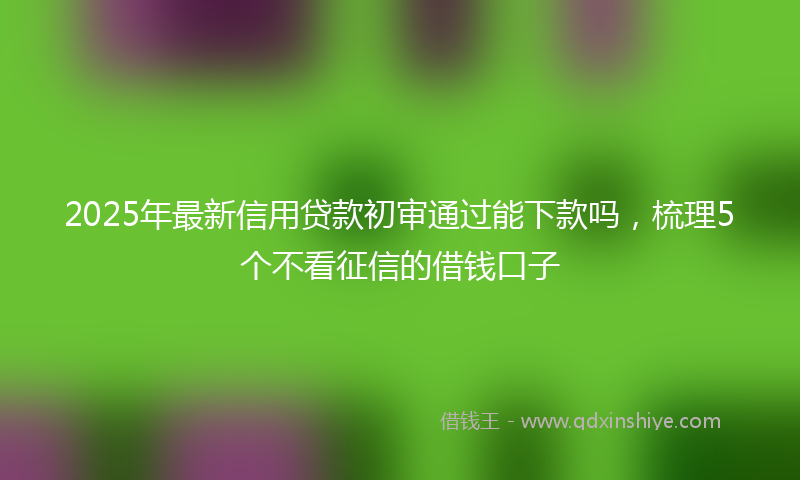 2025年最新信用贷款初审通过能下款吗，梳理5个不看征信的借钱口子