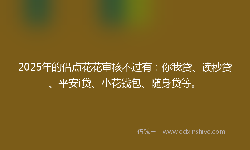 2025年的借点花花审核不过有：你我贷、读秒贷、平安i贷、小花钱包、随身贷等。