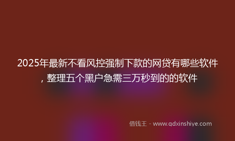 2025年最新不看风控强制下款的网贷有哪些软件，整理五个黑户急需三万秒到的的软件