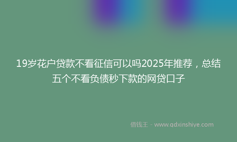 19岁花户贷款不看征信可以吗2025年推荐，总结五个不看负债秒下款的网贷口子