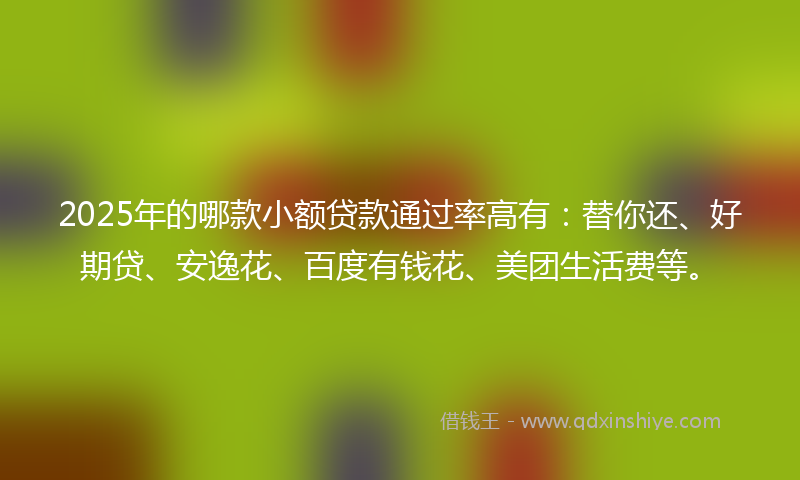 2025年的哪款小额贷款通过率高有：替你还、好期贷、安逸花、百度有钱花、美团生活费等。