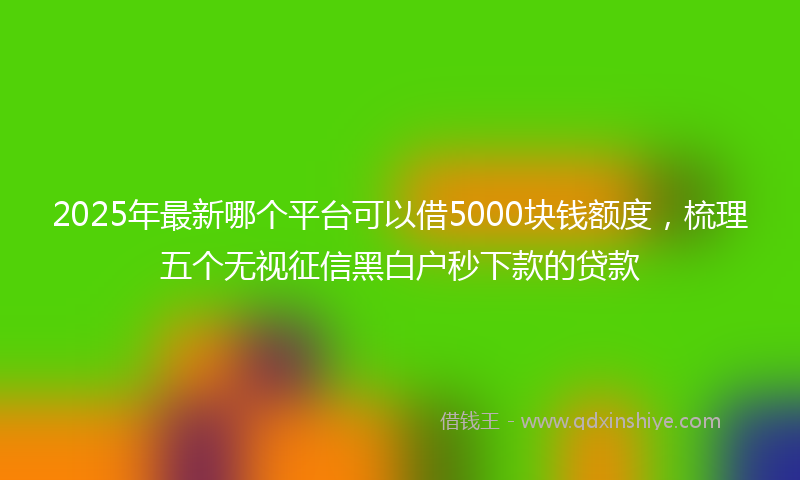 2025年最新哪个平台可以借5000块钱额度，梳理五个无视征信黑白户秒下款的贷款
