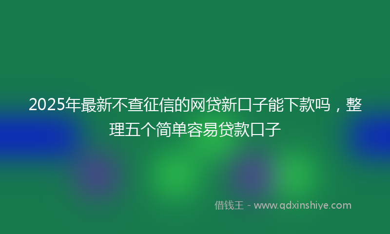 2025年最新不查征信的网贷新口子能下款吗，整理五个简单容易贷款口子