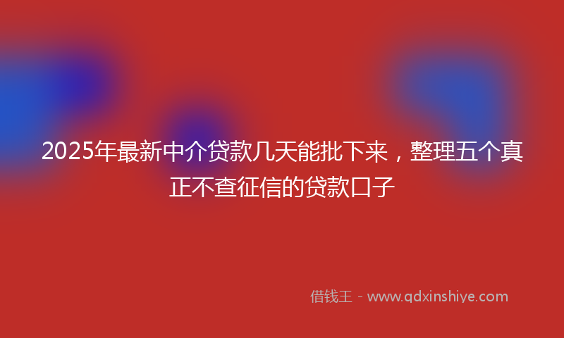 2025年最新中介贷款几天能批下来，整理五个真正不查征信的贷款口子