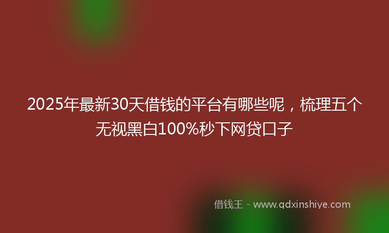 2025年最新30天借钱的平台有哪些呢，梳理五个无视黑白100%秒下网贷口子