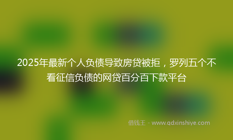 2025年最新个人负债导致房贷被拒，罗列五个不看征信负债的网贷百分百下款平台