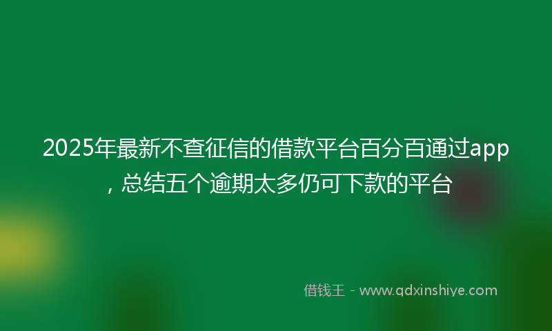2025年最新不查征信的借款平台百分百通过app，总结五个逾期太多仍可下款的平台