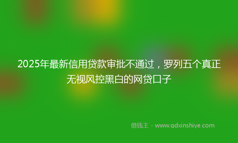 2025年最新信用贷款审批不通过，罗列五个真正无视风控黑白的网贷口子