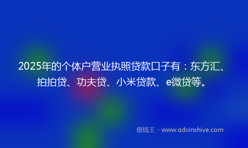 2025年的个体户营业执照贷款口子有：东方汇、拍拍贷、功夫贷、小米贷款、e微贷等。