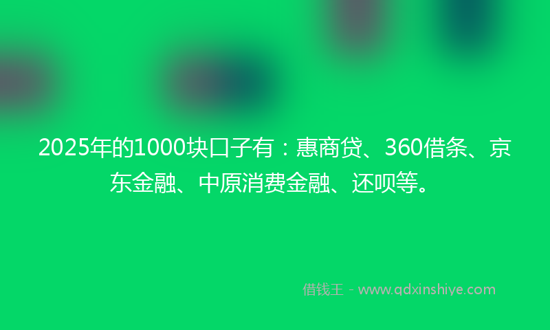 2025年的1000块口子有：惠商贷、360借条、京东金融、中原消费金融、还呗等。