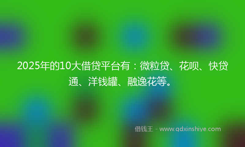 2025年的10大借贷平台有：微粒贷、花呗、快贷通、洋钱罐、融逸花等。