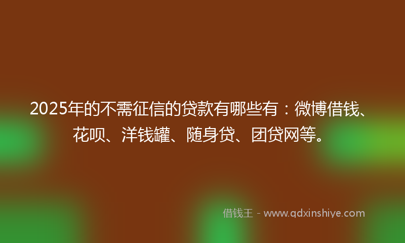 2025年的不需征信的贷款有哪些有：微博借钱、花呗、洋钱罐、随身贷、团贷网等。