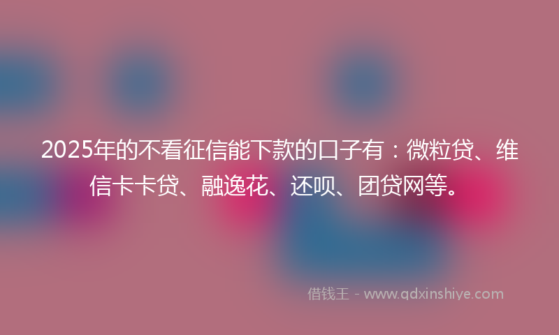 2025年的不看征信能下款的口子有：微粒贷、维信卡卡贷、融逸花、还呗、团贷网等。