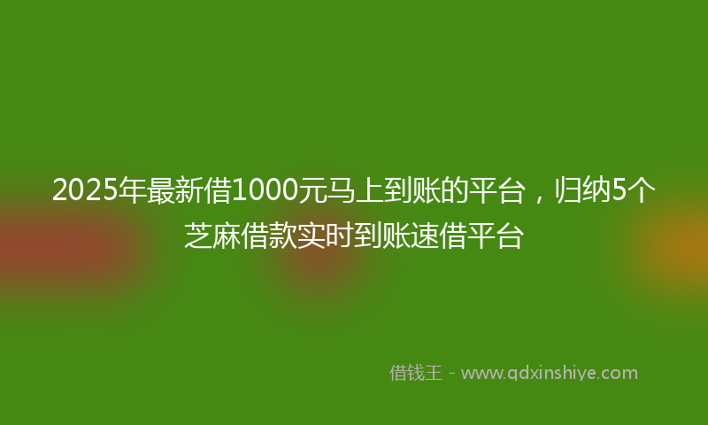 2025年最新借1000元马上到账的平台，归纳5个芝麻借款实时到账速借平台