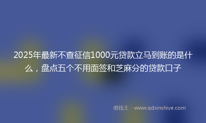 2025年最新不查征信1000元贷款立马到账的是什么，盘点五个不用面签和芝麻分的贷款口子