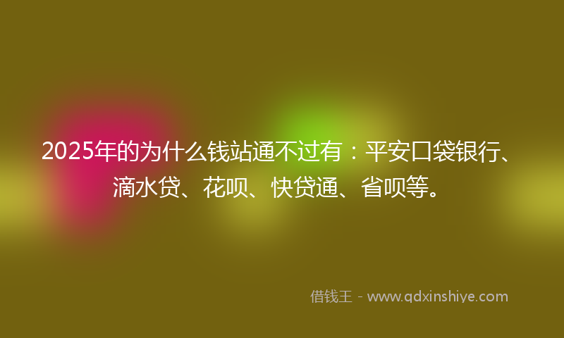 2025年的为什么钱站通不过有：平安口袋银行、滴水贷、花呗、快贷通、省呗等。