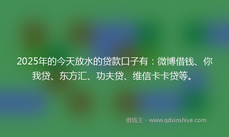 2025年的今天放水的贷款口子有：微博借钱、你我贷、东方汇、功夫贷、维信卡卡贷等。