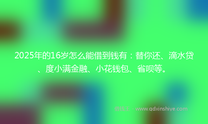 2025年的16岁怎么能借到钱有：替你还、滴水贷、度小满金融、小花钱包、省呗等。