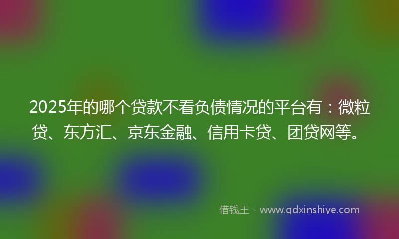 2025年的哪个贷款不看负债情况的平台有：微粒贷、东方汇、京东金融、信用卡贷、团贷网等。