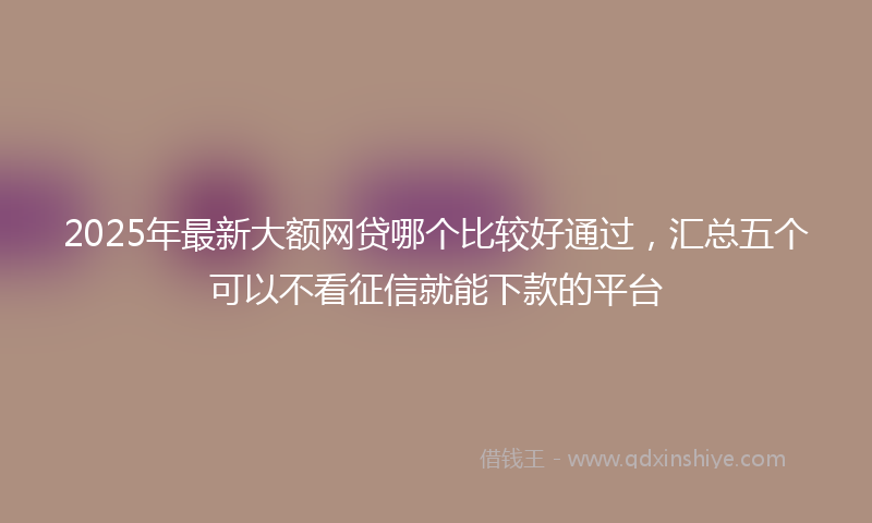 2025年最新大额网贷哪个比较好通过，汇总五个可以不看征信就能下款的平台