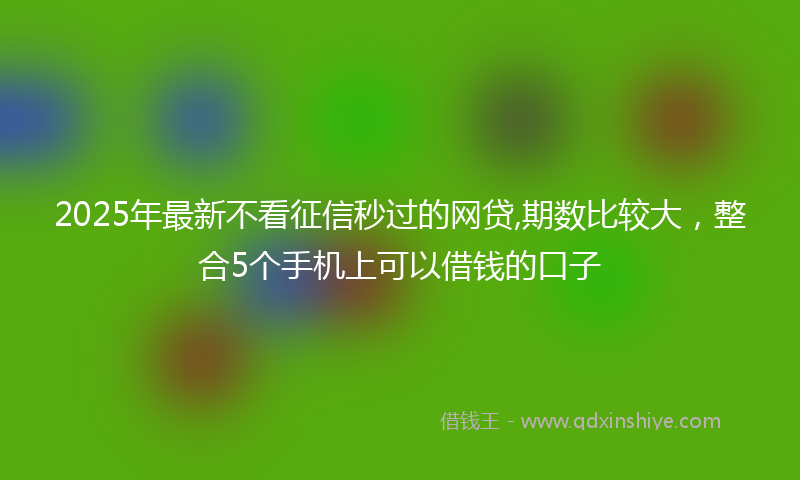 2025年最新不看征信秒过的网贷,期数比较大，整合5个手机上可以借钱的口子