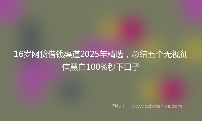 16岁网贷借钱渠道2025年精选，总结五个无视征信黑白100%秒下口子