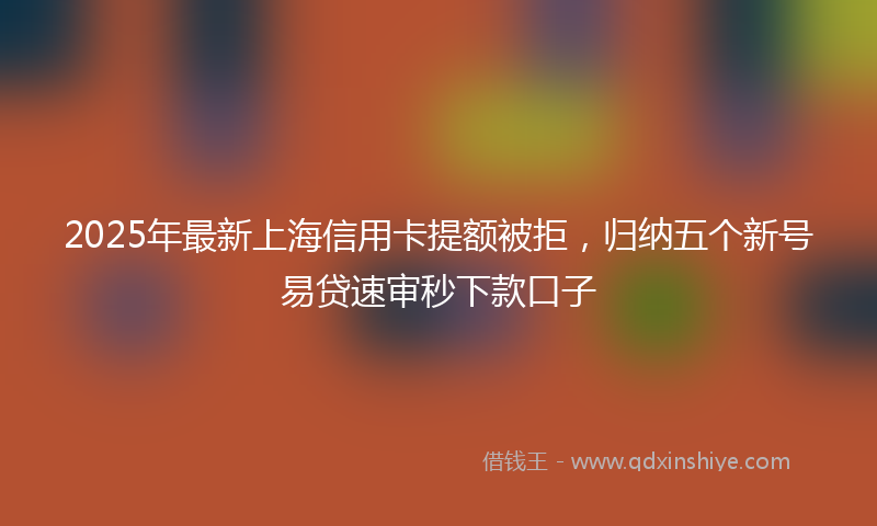 2025年最新上海信用卡提额被拒，归纳五个新号易贷速审秒下款口子