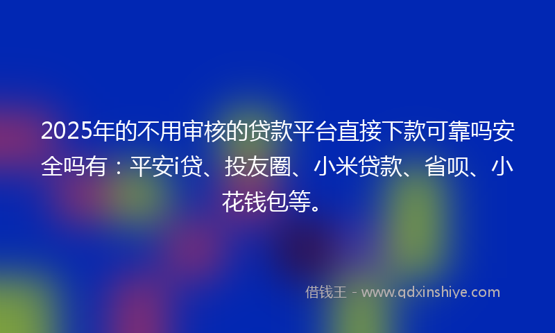 2025年的不用审核的贷款平台直接下款可靠吗安全吗有：平安i贷、投友圈、小米贷款、省呗、小花钱包等。