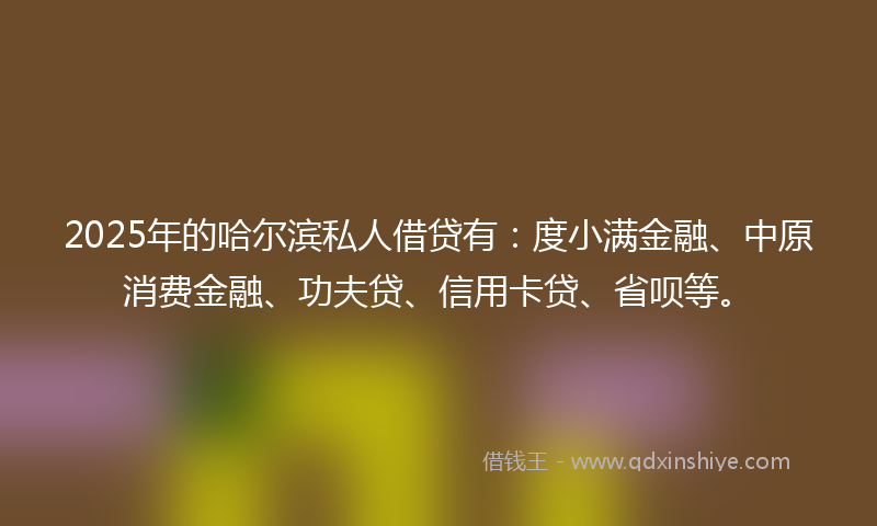 2025年的哈尔滨私人借贷有：度小满金融、中原消费金融、功夫贷、信用卡贷、省呗等。