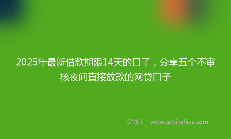 2025年最新借款期限14天的口子，分享五个不审核夜间直接放款的网贷口子