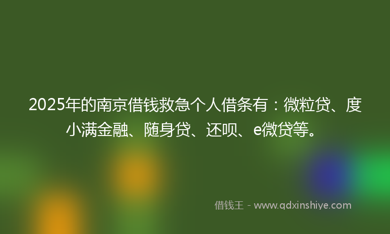 2025年的南京借钱救急个人借条有：微粒贷、度小满金融、随身贷、还呗、e微贷等。
