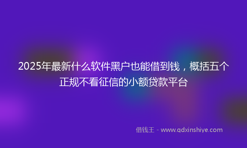 2025年最新什么软件黑户也能借到钱，概括五个正规不看征信的小额贷款平台