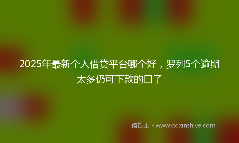 2025年最新个人借贷平台哪个好，罗列5个逾期太多仍可下款的口子