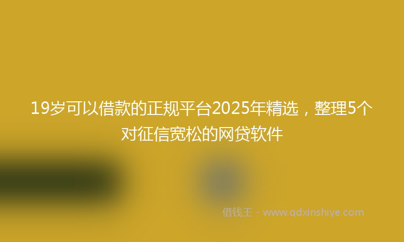19岁可以借款的正规平台2025年精选，整理5个对征信宽松的网贷软件