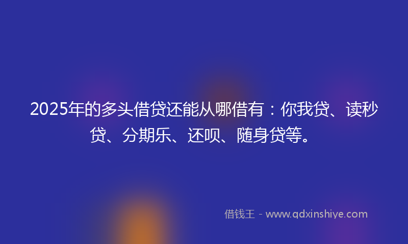 2025年的多头借贷还能从哪借有：你我贷、读秒贷、分期乐、还呗、随身贷等。