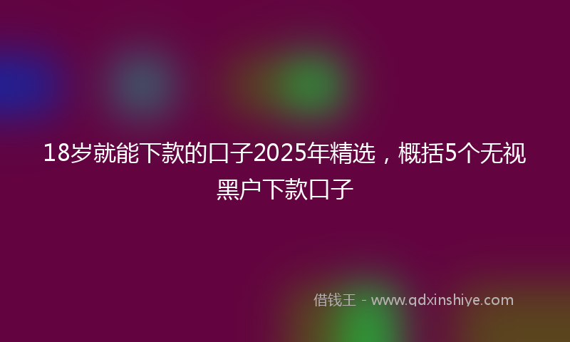 18岁就能下款的口子2025年精选，概括5个无视黑户下款口子
