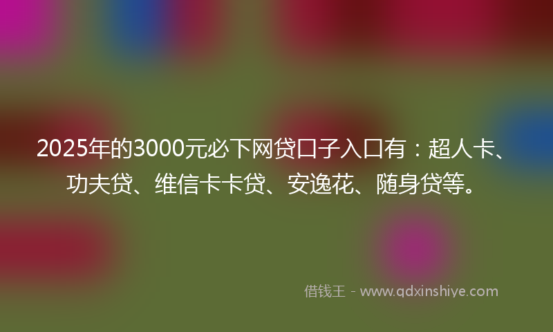 2025年的3000元必下网贷口子入口有：超人卡、功夫贷、维信卡卡贷、安逸花、随身贷等。