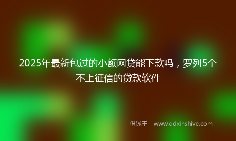 2025年最新包过的小额网贷能下款吗，罗列5个不上征信的贷款软件
