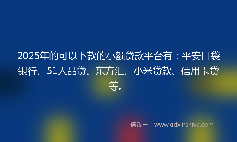 2025年的可以下款的小额贷款平台有：平安口袋银行、51人品贷、东方汇、小米贷款、信用卡贷等。
