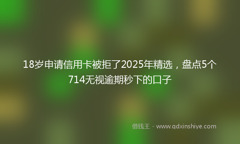18岁申请信用卡被拒了2025年精选，盘点5个714无视逾期秒下的口子