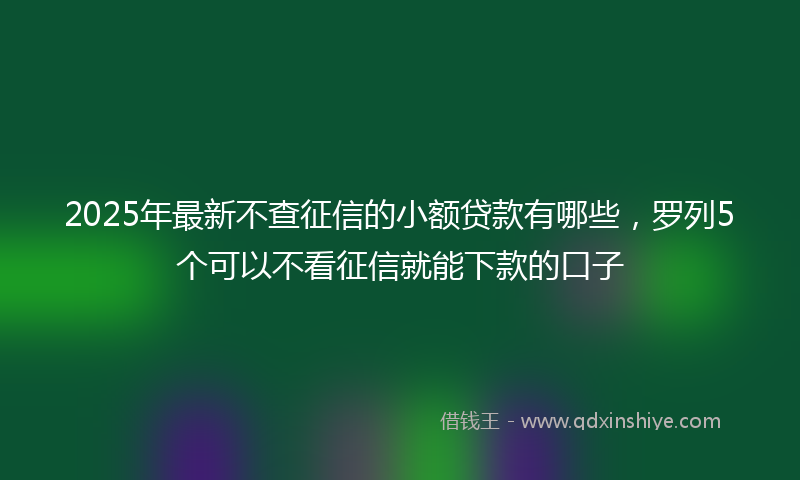 2025年最新不查征信的小额贷款有哪些，罗列5个可以不看征信就能下款的口子