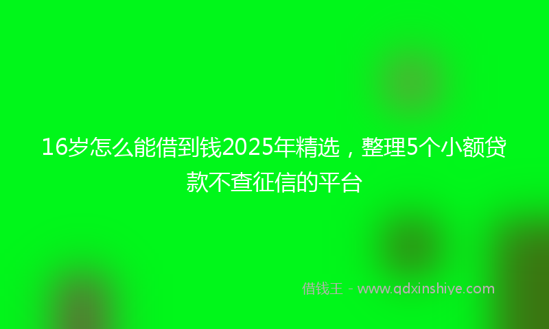 16岁怎么能借到钱2025年精选，整理5个小额贷款不查征信的平台