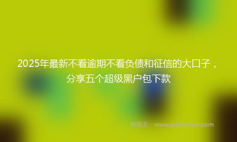 2025年最新不看逾期不看负债和征信的大口子，分享五个超级黑户包下款