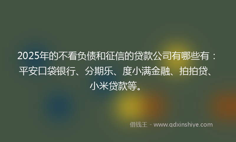 2025年的不看负债和征信的贷款公司有哪些有：平安口袋银行、分期乐、度小满金融、拍拍贷、小米贷款等。