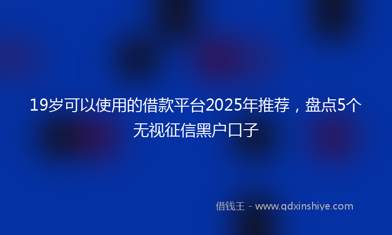 19岁可以使用的借款平台2025年推荐，盘点5个无视征信黑户口子