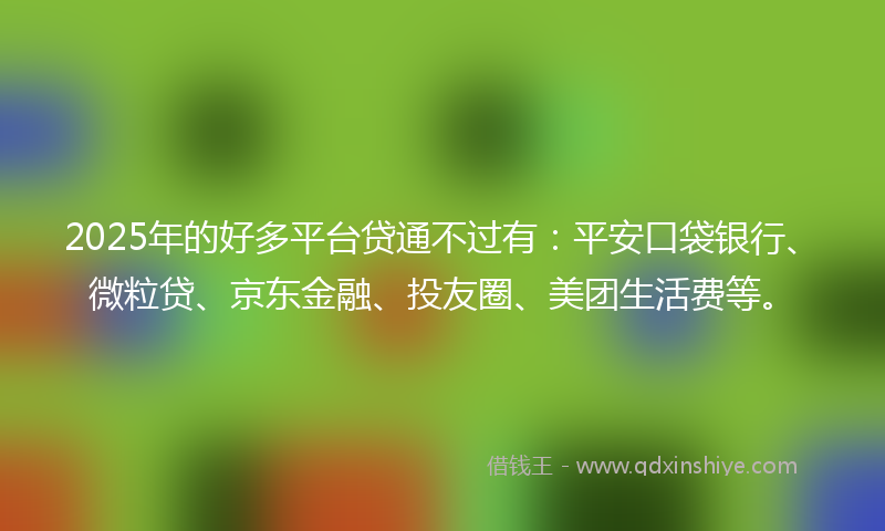 2025年的好多平台贷通不过有：平安口袋银行、微粒贷、京东金融、投友圈、美团生活费等。