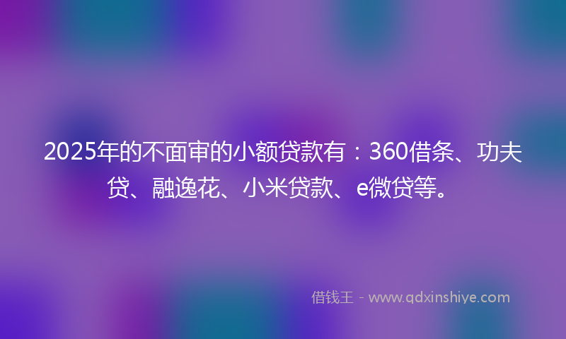 2025年的不面审的小额贷款有：360借条、功夫贷、融逸花、小米贷款、e微贷等。
